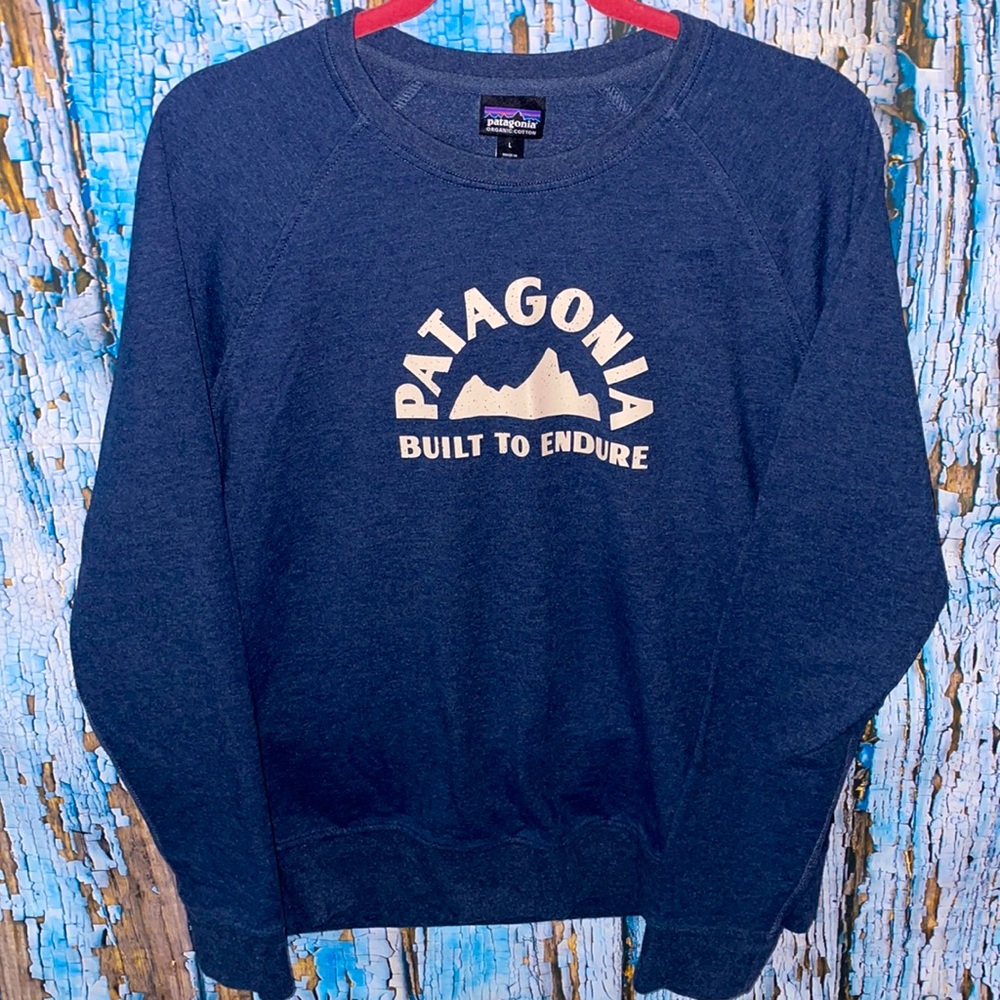 Patagonia Blue Sweatshirt